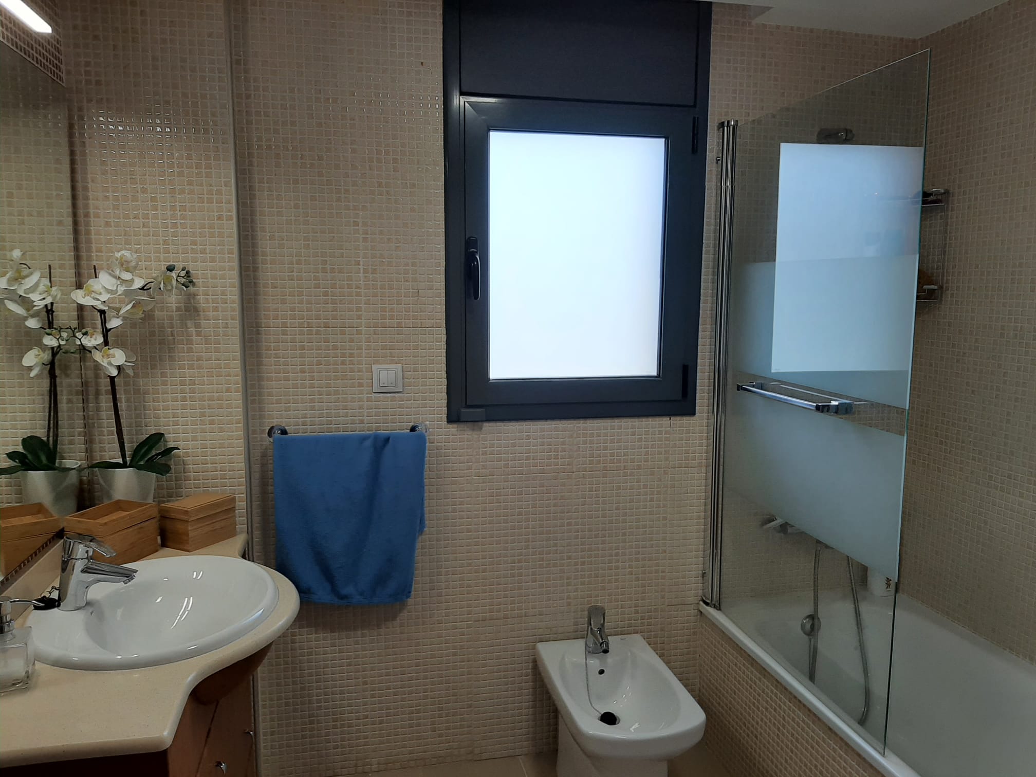 Baño Antes